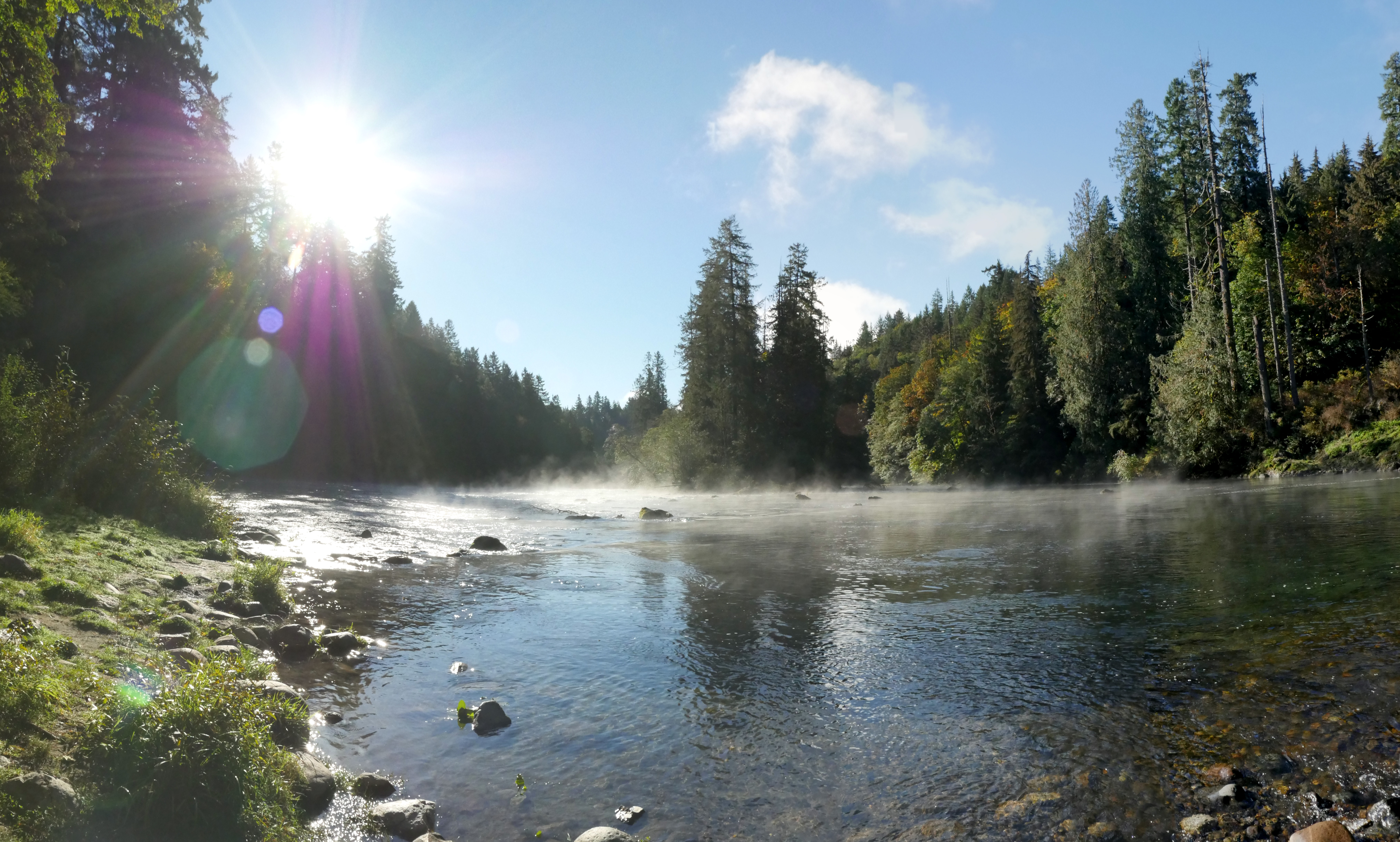 Panoramic view